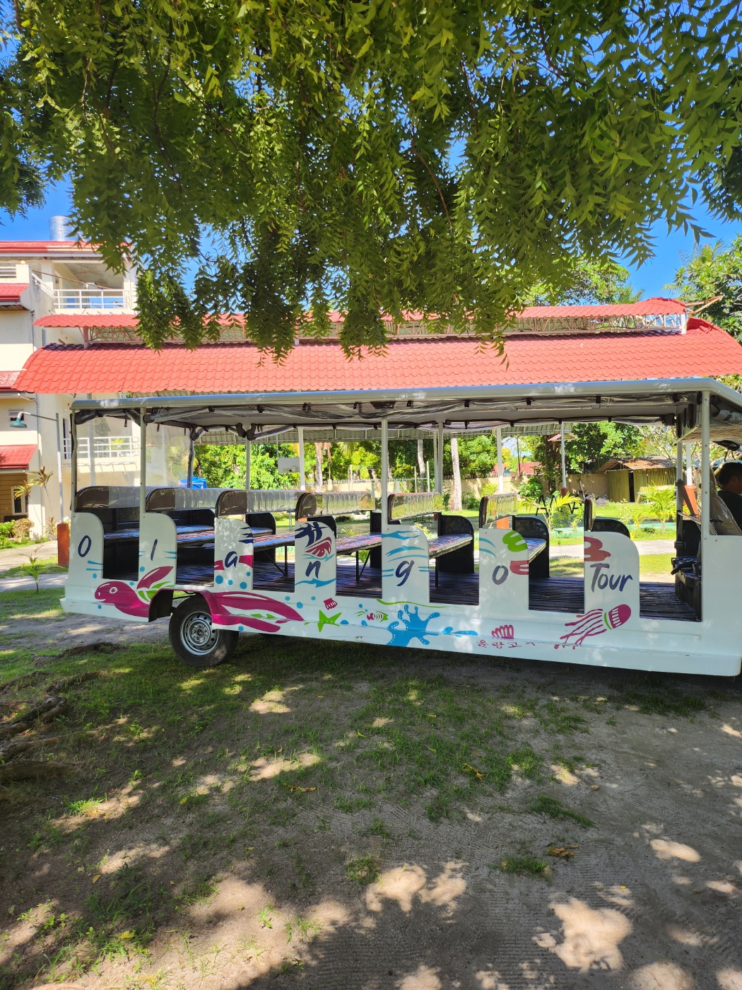 [세부] 티나 가이드님 감사합니다.