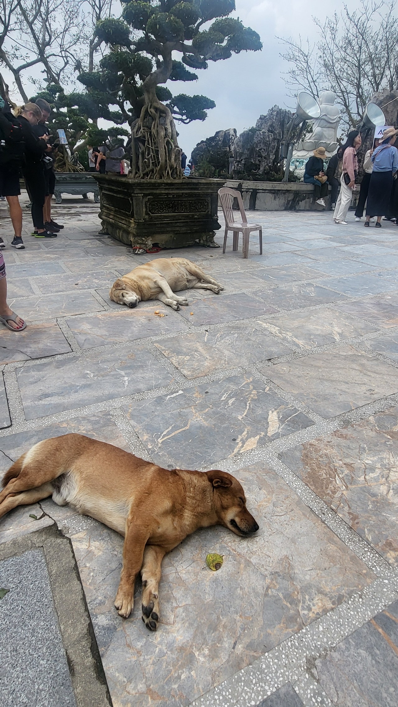 [다낭] 다낭 3박5일 유엔 가이드님과 함께(1/8~1/12)