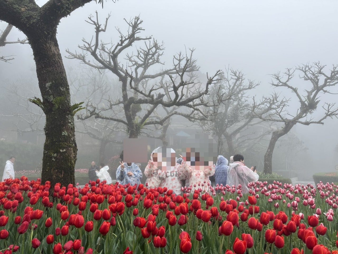 [다낭] 유엔 가이드님 감사했습니다