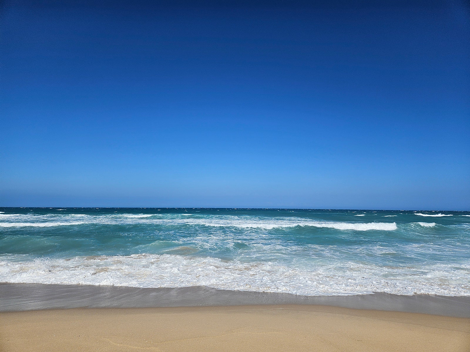 [나트랑] 해밀 가이드님과 함께 나트랑 3박 5일 여정, 솔직후기 (25.02.15~25.02.18)