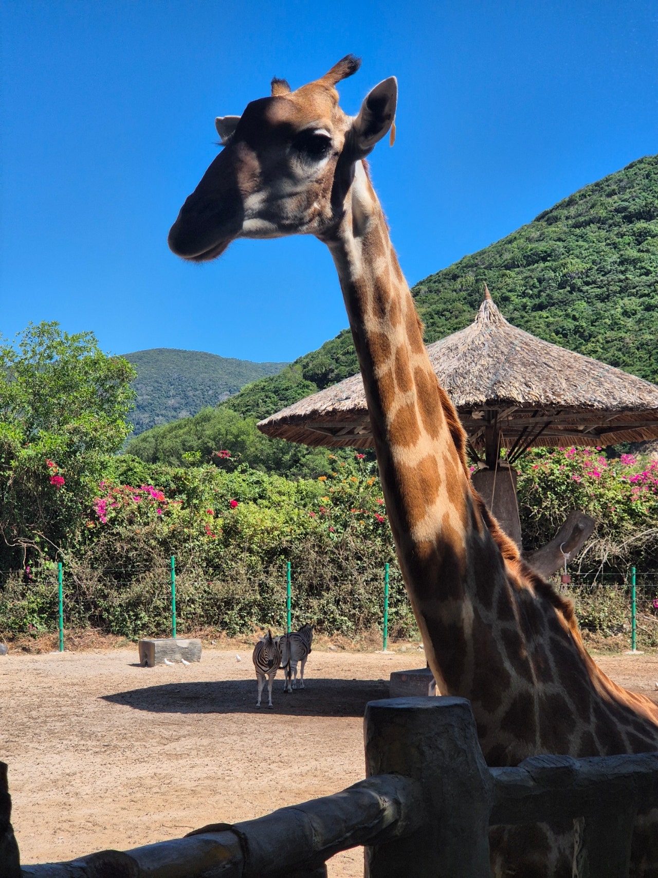 [나트랑] 은나 가이드님과 함께한 3박5일 나트랑 대가족 여행 후기