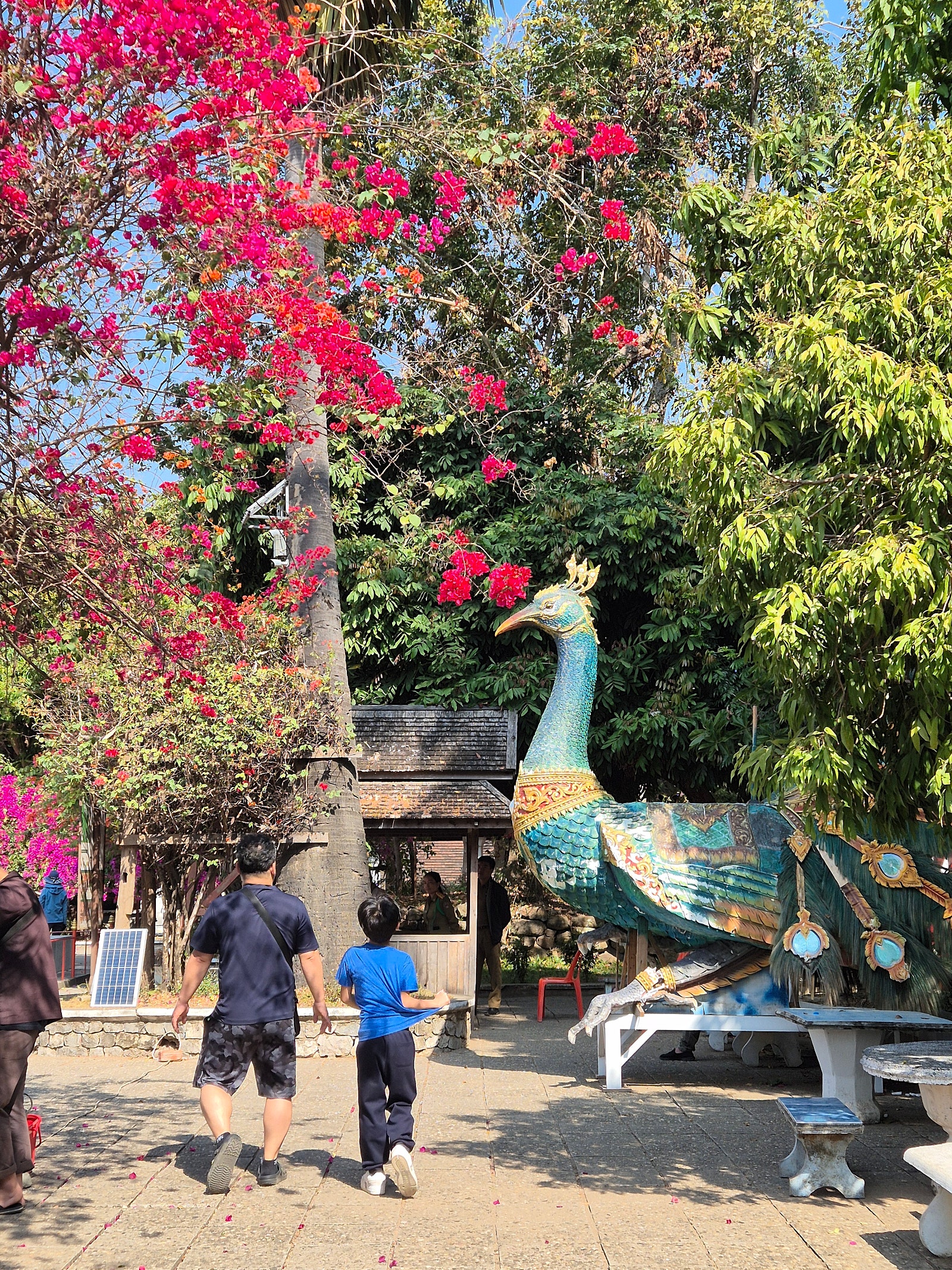 [라오스] 라오스 첫 해외여행!