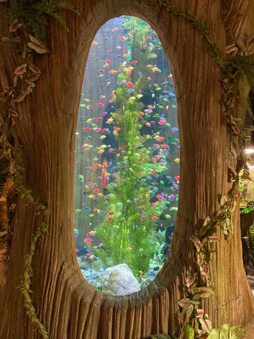 [하노이] 하롱베이 감동팩 후기