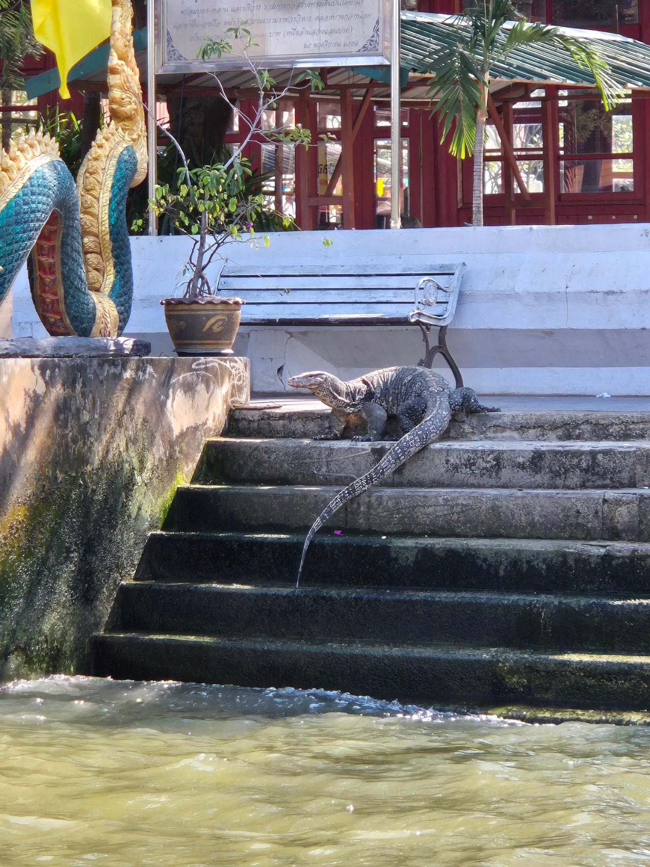 [방콕] 애플 가이드님과 즐거웠던 태국여행