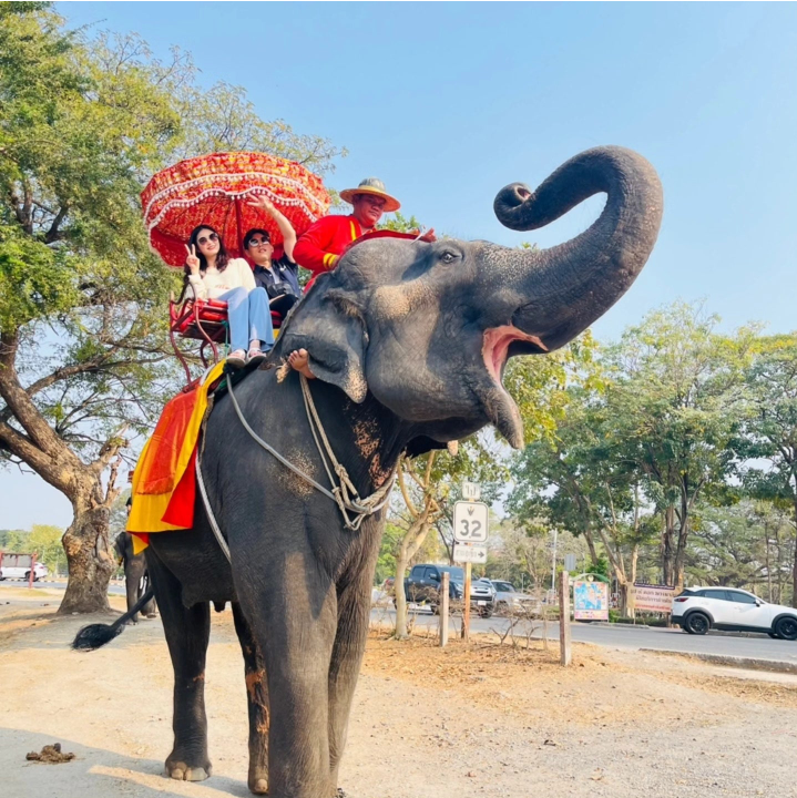 [방콕] 나비 가이님과 함께한 방콕&야유타야 여행