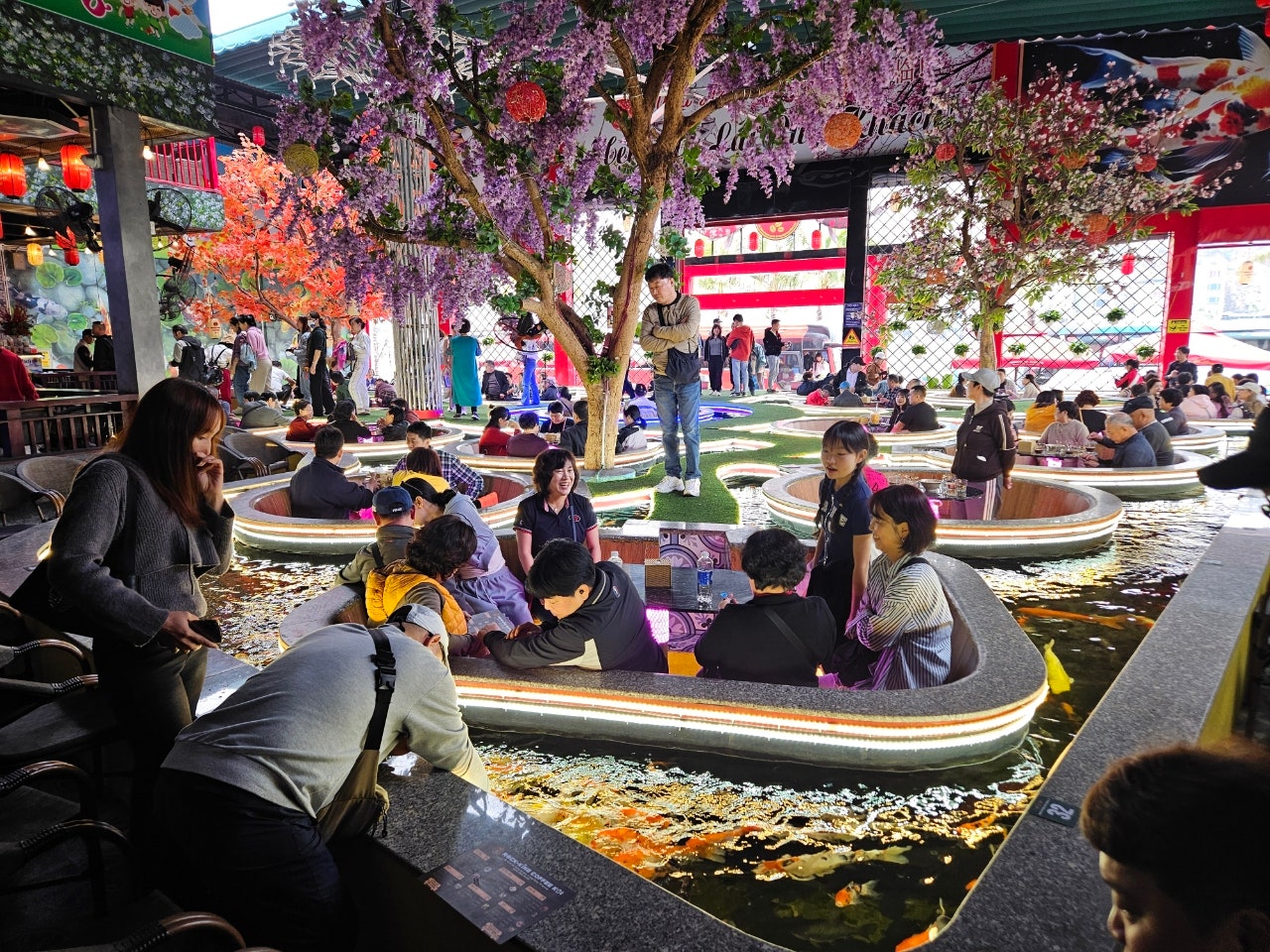 [하노이] 하노이 & 하롱베이 감동팩 후기