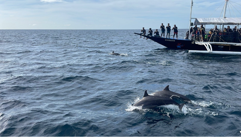 [보홀] 15인의 보홀여행 with 엠마
