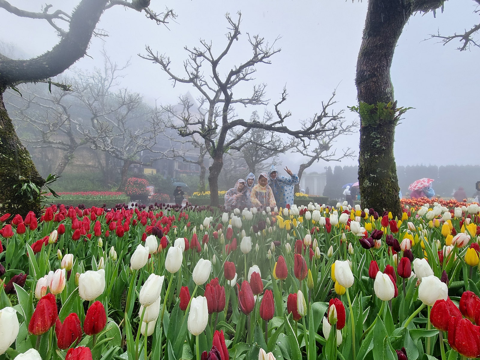 [다낭] 여행후기~^^