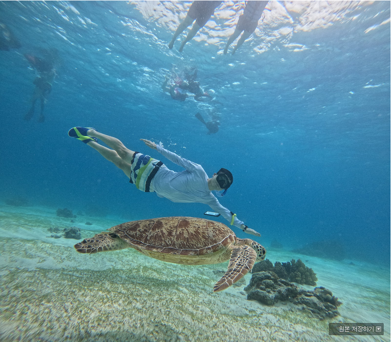 [보홀] 보홀 여행 후기(With 에릭가이드님)