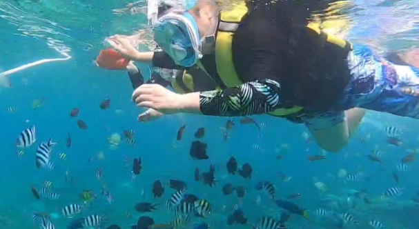 [세부] JAKE 가이드님과 함께한 2번째 가이드맨 여행후기!