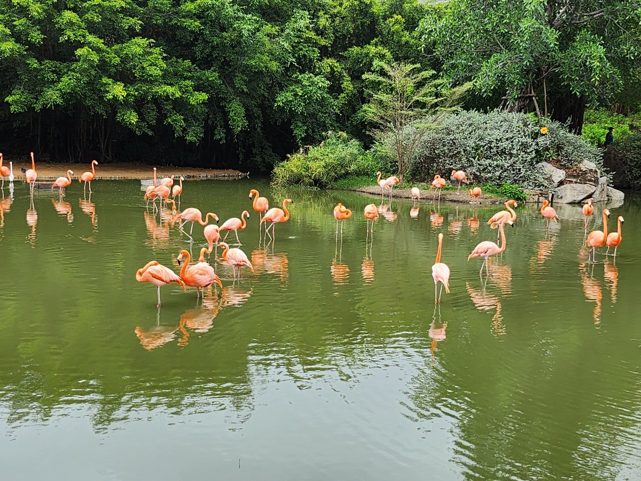 [나트랑] 편하게 즐긴 나트랑(민현 가이드님과 함께)