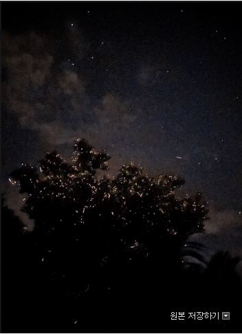 [보홀] 미키 가이드님과 함께한 삼대 보홀 여행 후기입니다 !