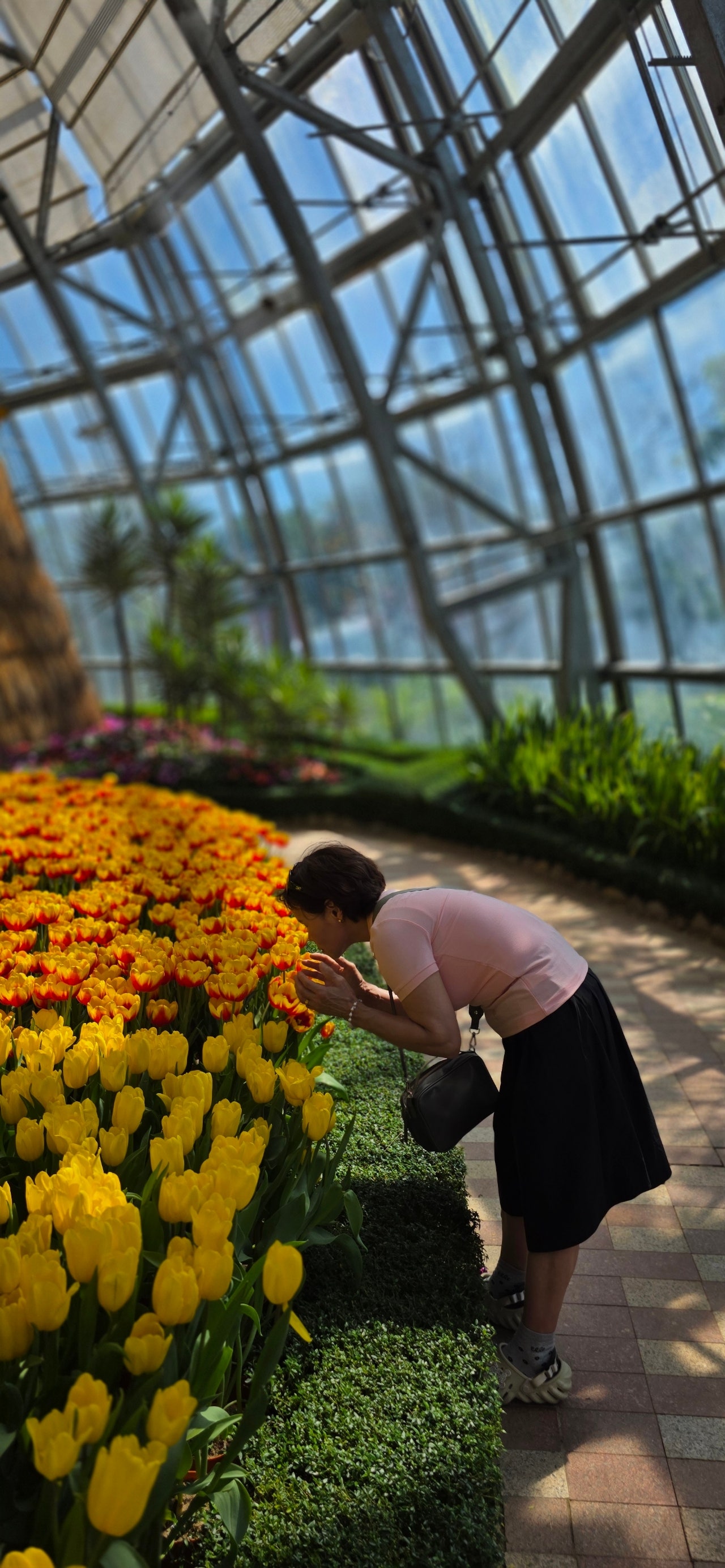 [나트랑] Duy가이드와 냐짱 핵심팩 3박5일 가족 여행 즐거웠어요.