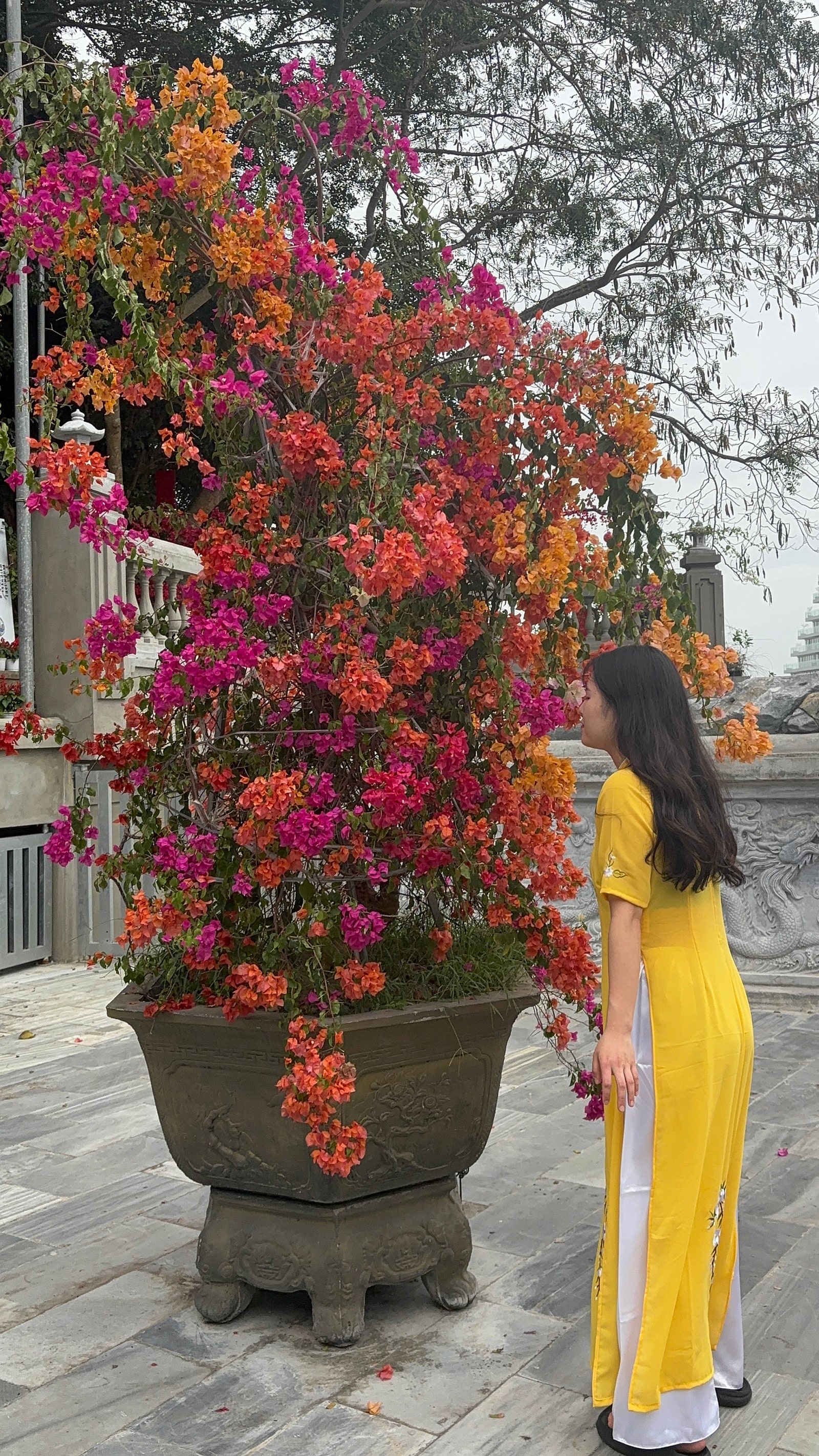 [다낭] 다낭 여행 후기 (+수한 가이드님)