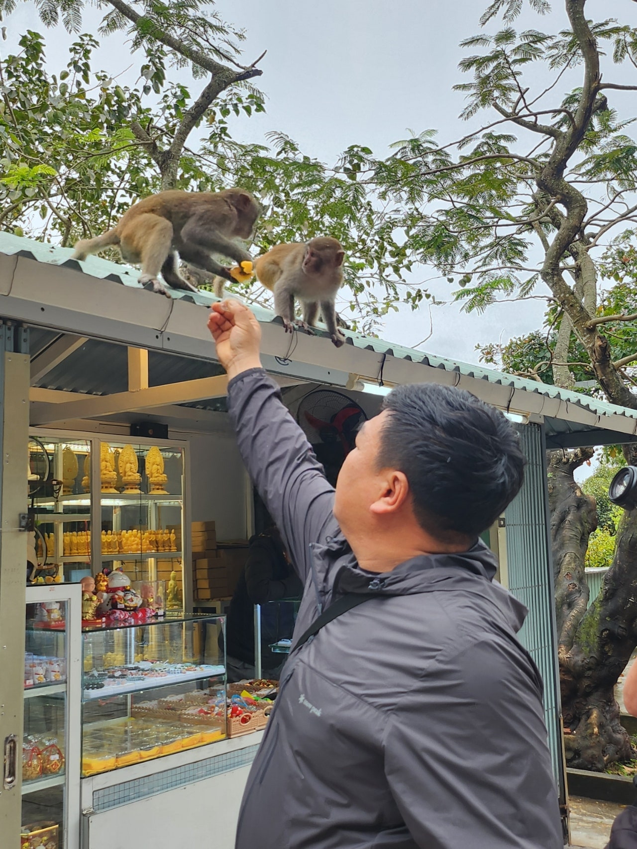 [다낭] 다낭여행후기 차우가이드님 넘나감사했어요