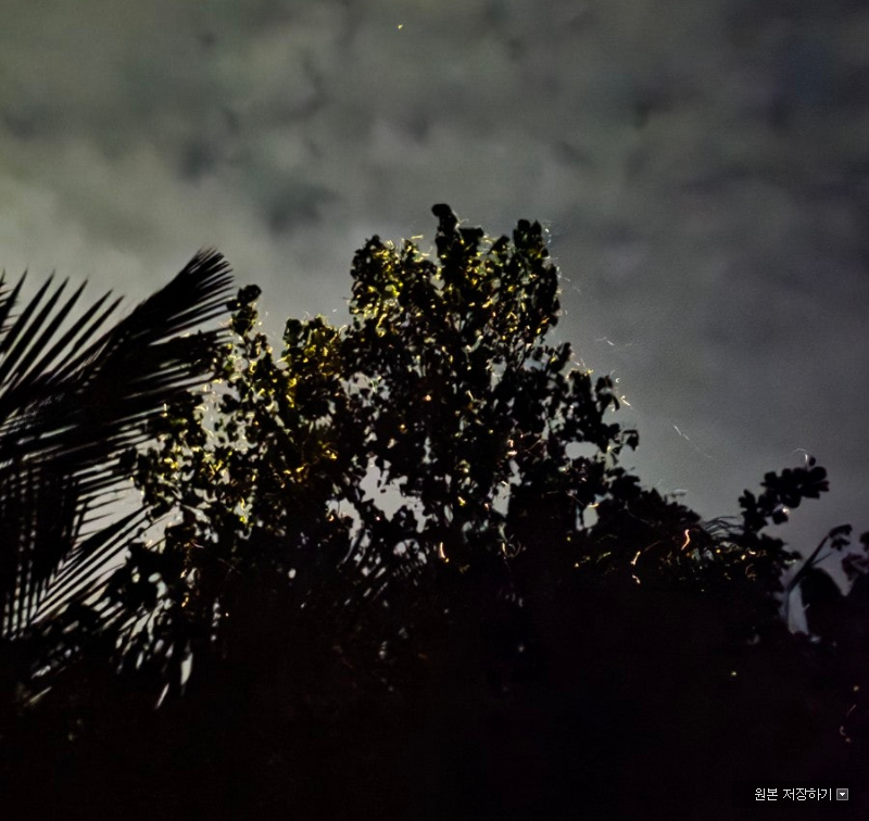 [보홀] 보홀여행 with Moon가이드