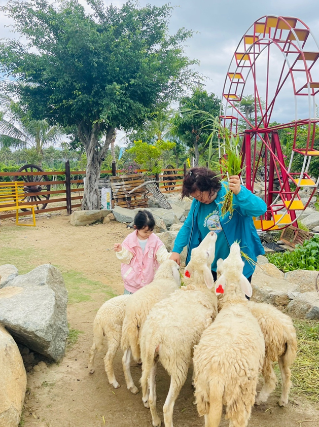 [나트랑] 3박4일 나트랑 여행 후기 ( 아리가이드님과 함께...)