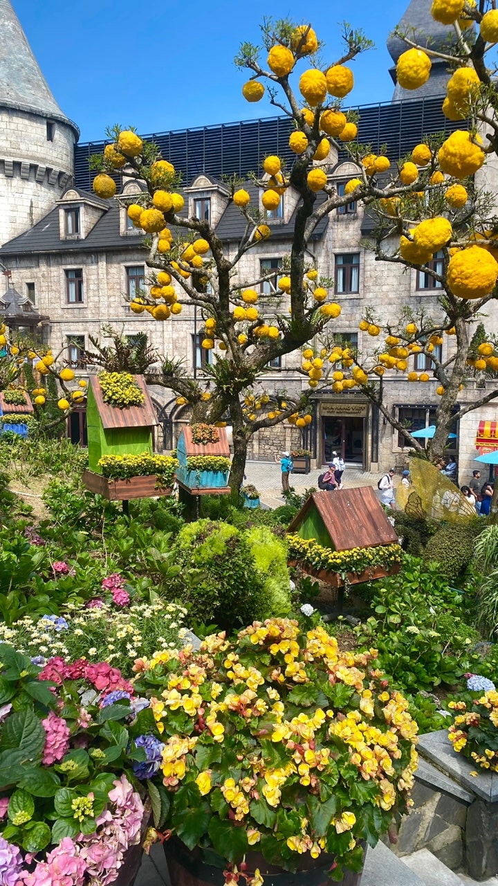 [다낭] 디엠(은혜)가이드님과 함께한 다낭 투어!