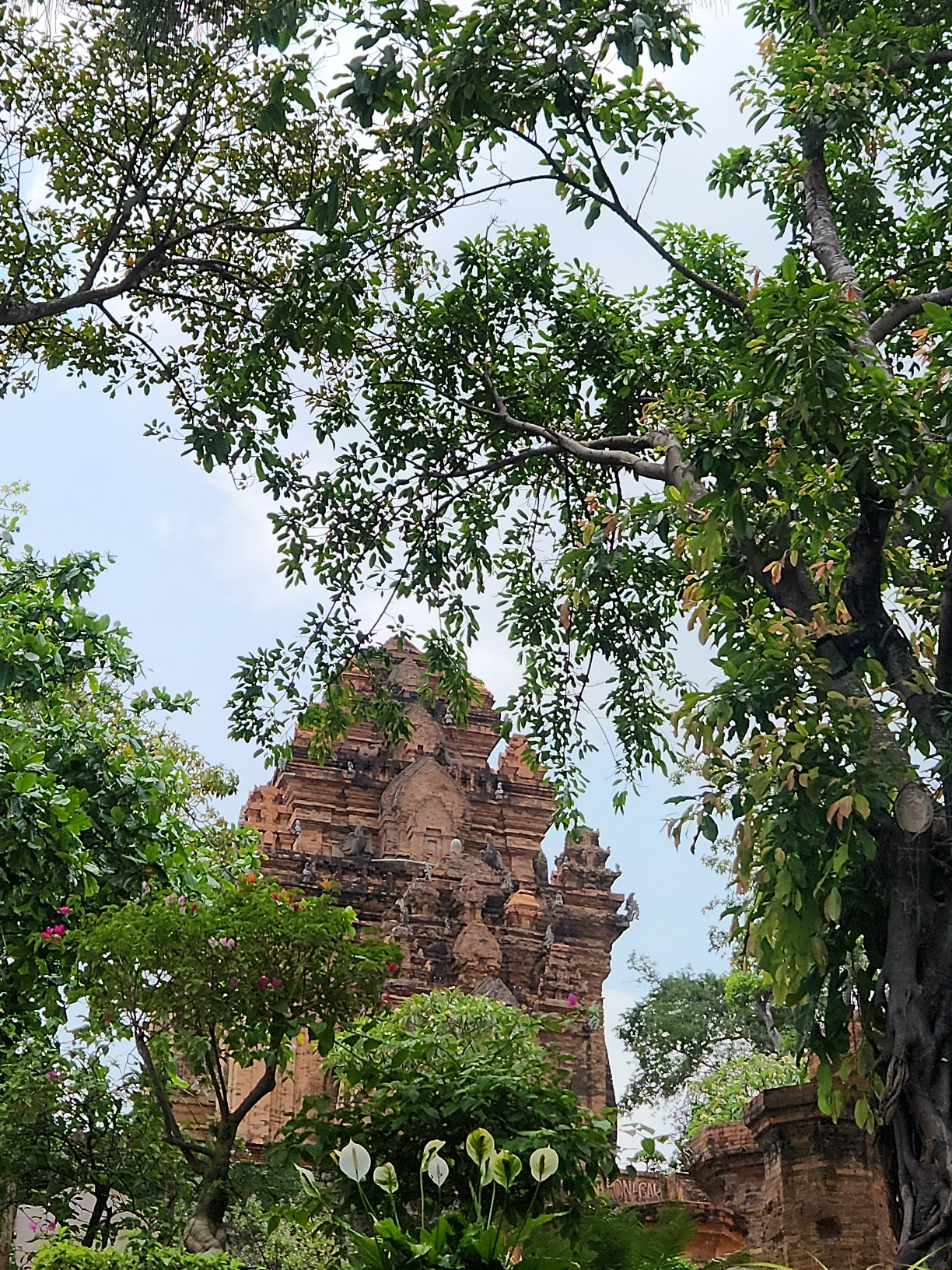 [나트랑] 나판랑 3박 4일 후기! (with 티엔 가이드님)