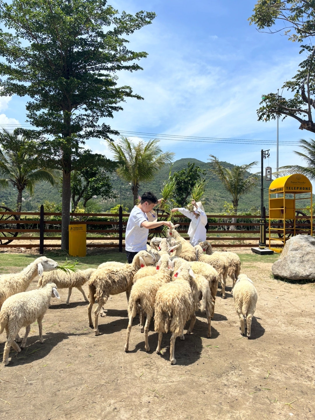 [나트랑] 해밀 가이드님과의 나트랑 후기 (+가이드맨 솔직후기)