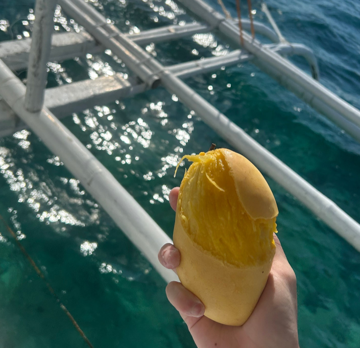 [세부] 즐거운 여행이였습니다