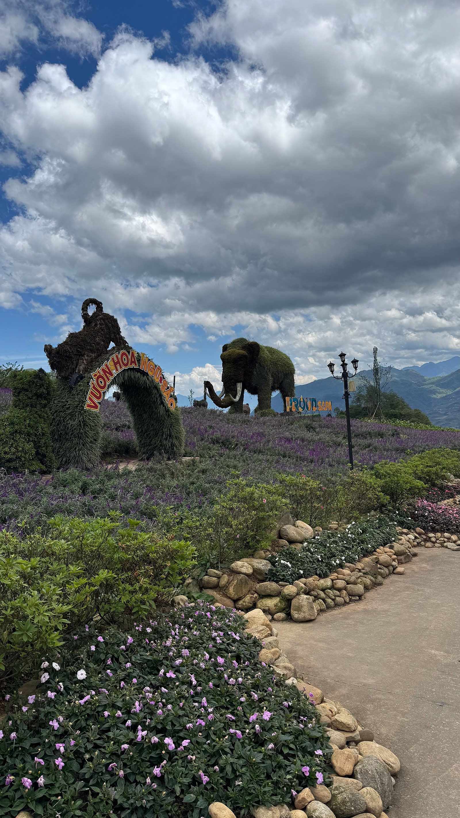 [하노이] 3박5일 사파 감탄팩 현빈 가이드 대만족 후기