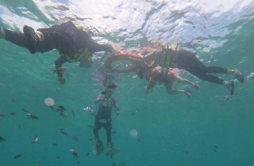 [세부] 채플린 가이드님과 세부 첫 여행~~