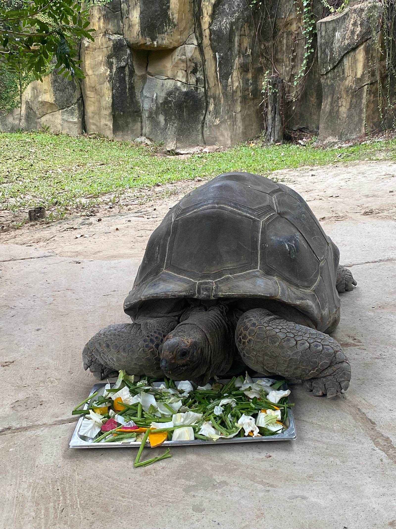[푸꾸옥] 푸꾸옥 가족여행 후기 (현진 가이드님)