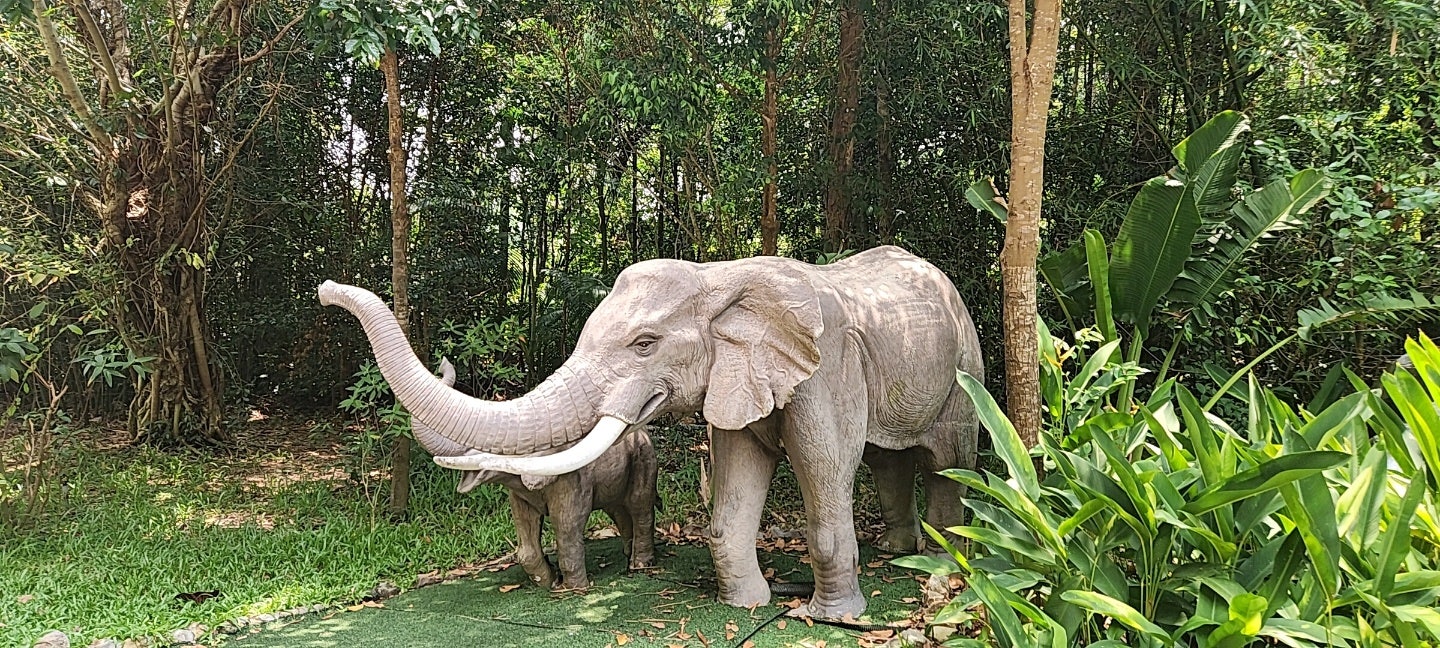 [푸꾸옥] 윤우 가이드님과 함께 한 푸꾸옥 (富國) 4일 중 셋째 날 - 1