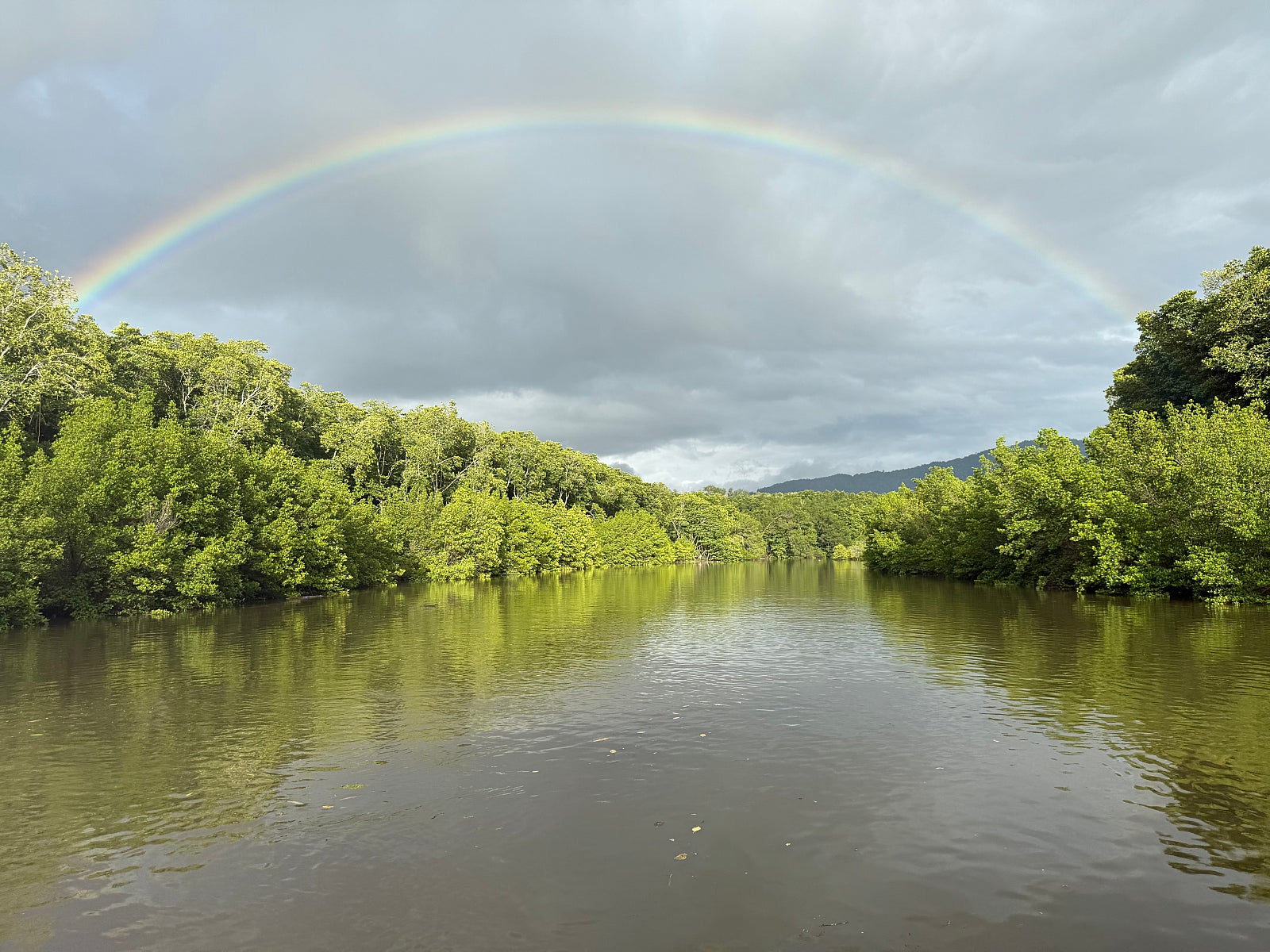 [코타키나발루] 코타 4박 6일 후기