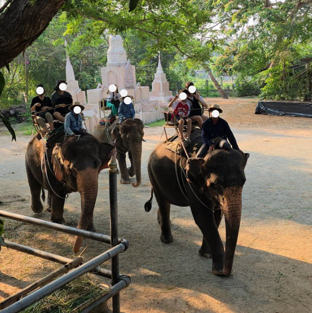 [방콕] 가이드 애플님과 함께하는 방콕,파타야 3박5일 여행^^