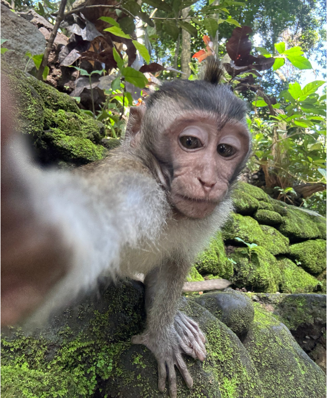 [발리] 발리여행(6/14~20)