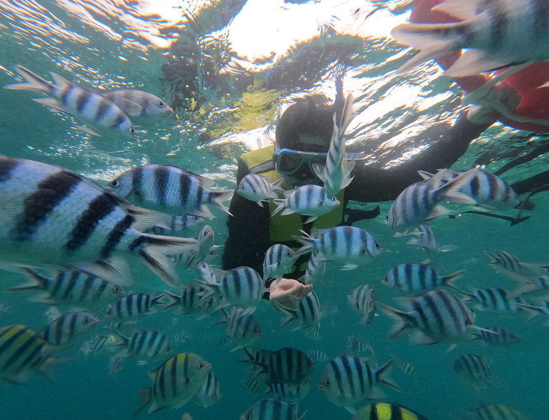 [세부] 세부 3박 5일 모녀여행