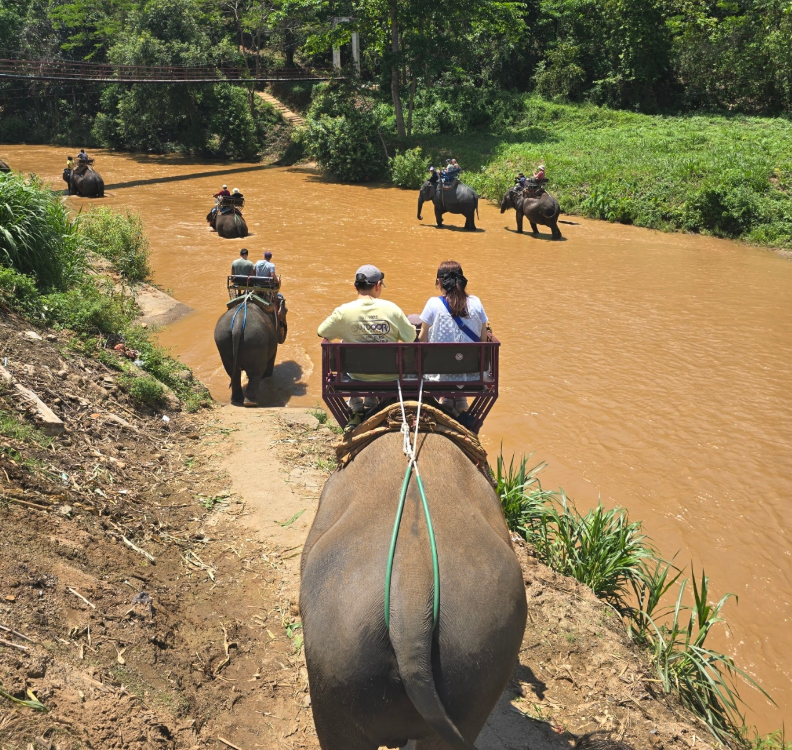 [치앙마이] 떠날때 걱정이 찐 만족으로 마무리~