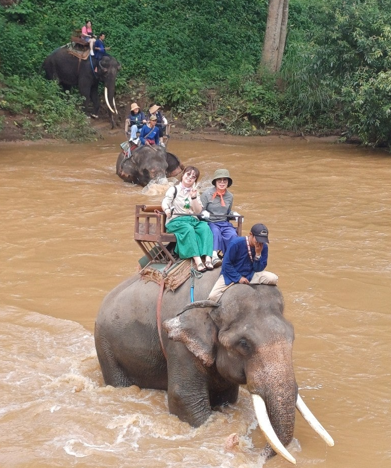 [치앙마이] 편안하고 행복했던 치앙마이4박6일~