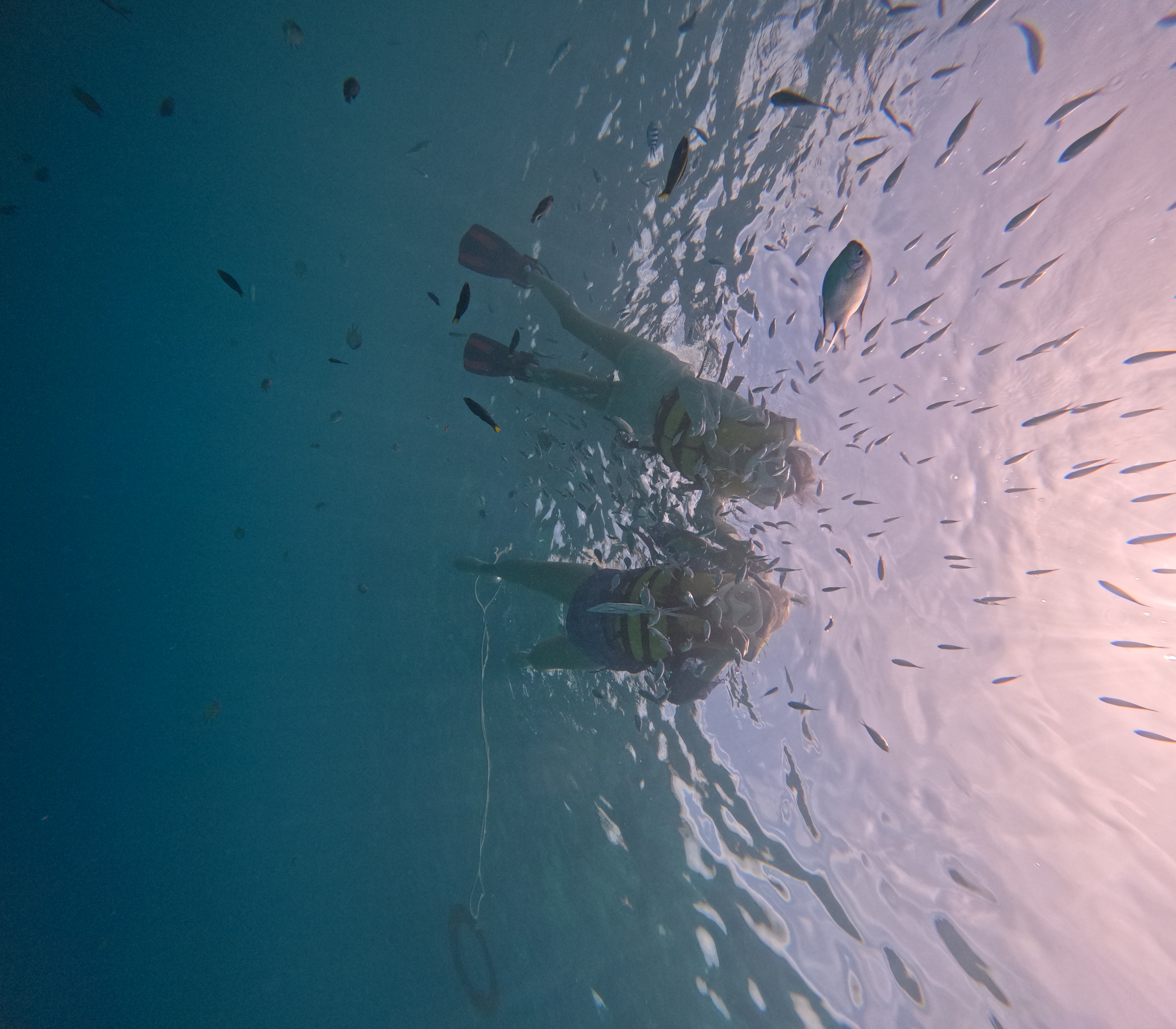 보홀 에릭가이드님 최고!