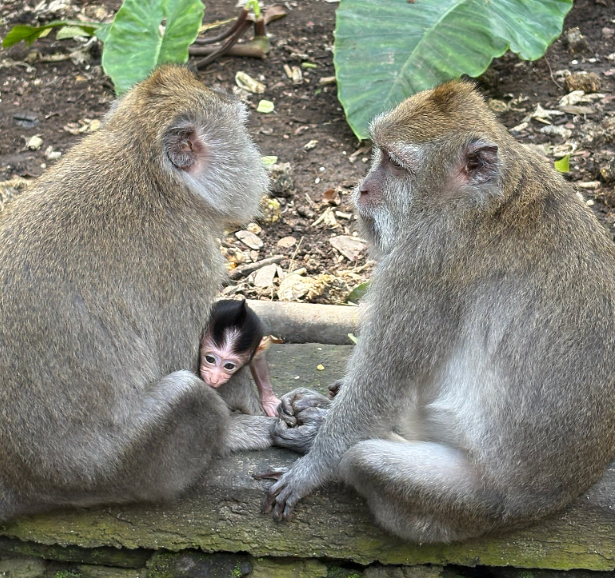 [발리] 시부모님과 함께한 4박 6일 발리 첫 여행~^^