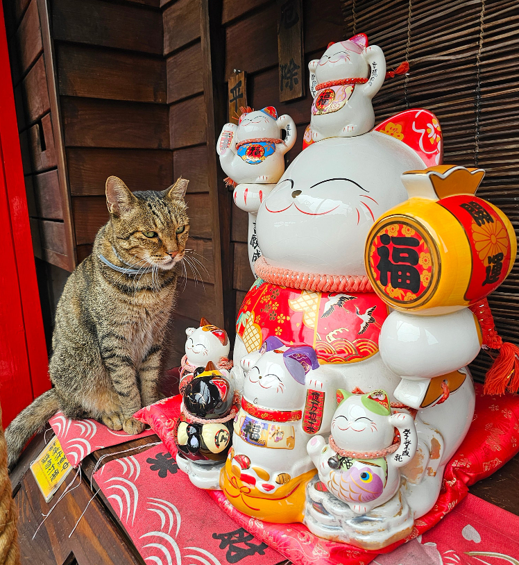 [대만] 가영 가이드님과 3박 4일 행복한 여행후기♡