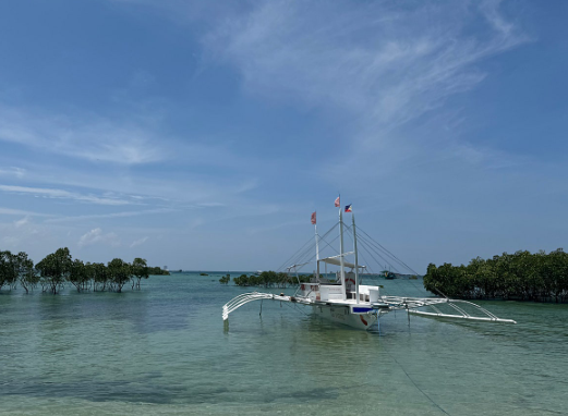 [세부] 가이드맨은 사랑입니다 …