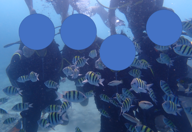 [세부] 대학교 친구들과 떠난 첫 자유투어 후기!(나디아 누나)