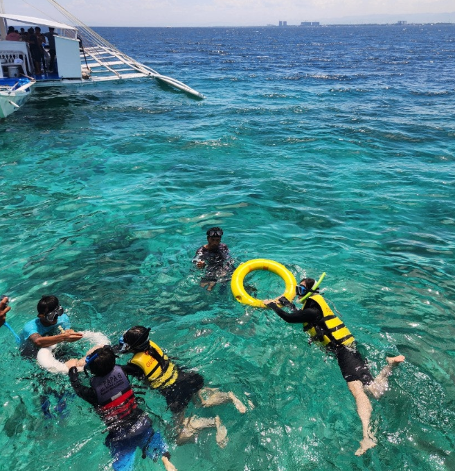 [세부] 케빈 샤빌 제니