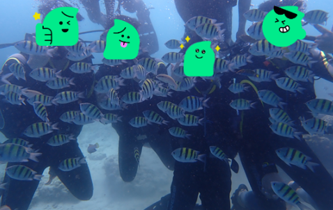 [세부] 세부 3박 4일 패키지 여행 후기 (with. 가이드맨 나디아 누님)