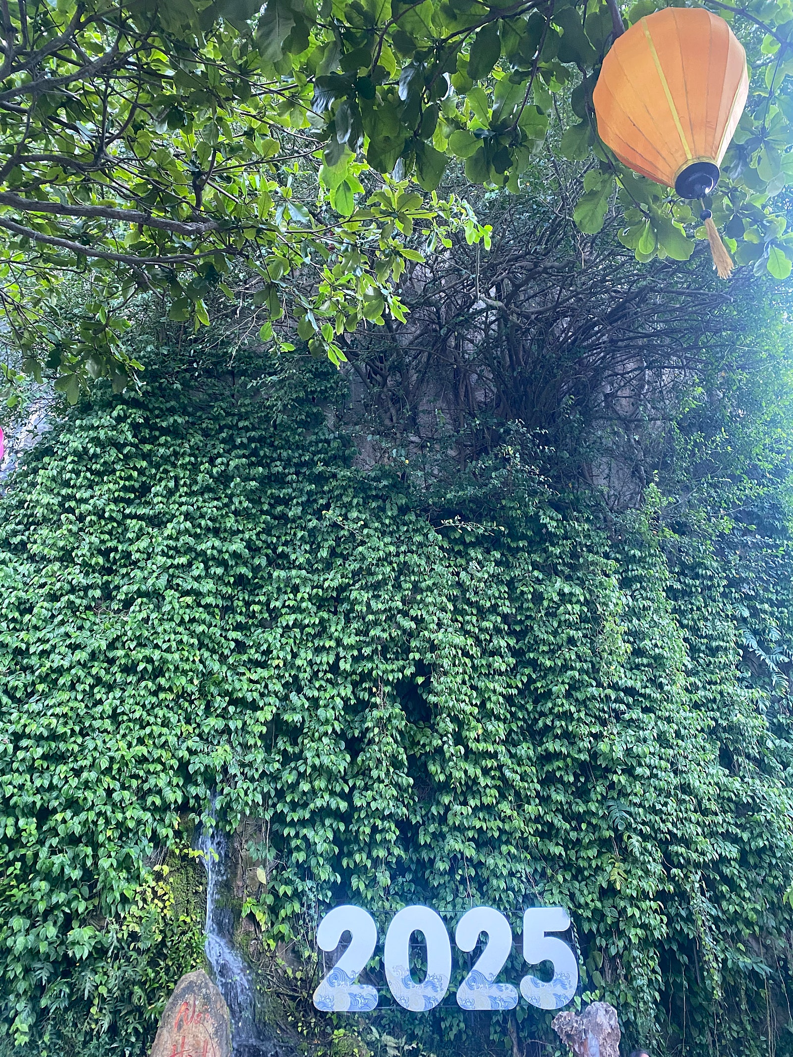 [다낭] ⭐️후기⭐️엄마랑 함께한 다낭여행 with 듀이가이드님