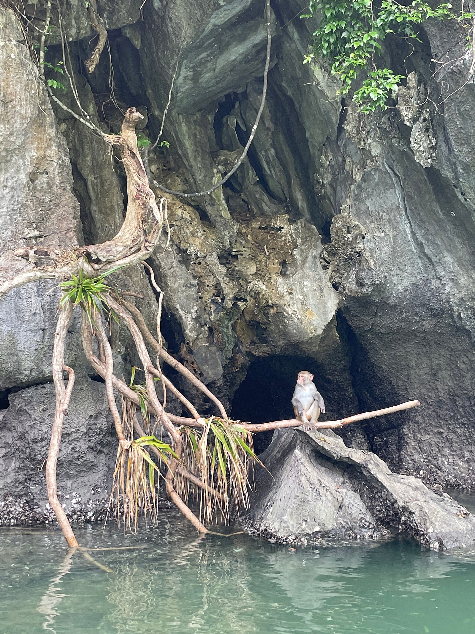 [하노이] 은영희 가이드님과 함께한 하노이/하롱베이 여행