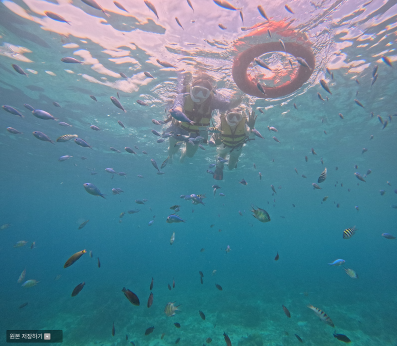 [보홀] 보홀여행 에릭가이드님????