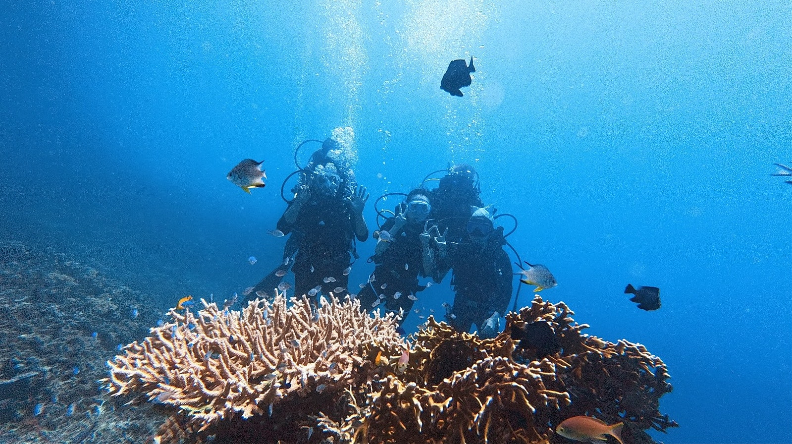 [보홀] 보홀 여행 3박5일 후기! with Emma 가이드님