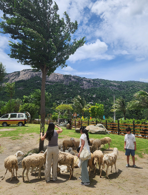 [나트랑] 가족과 함께 하는 여행