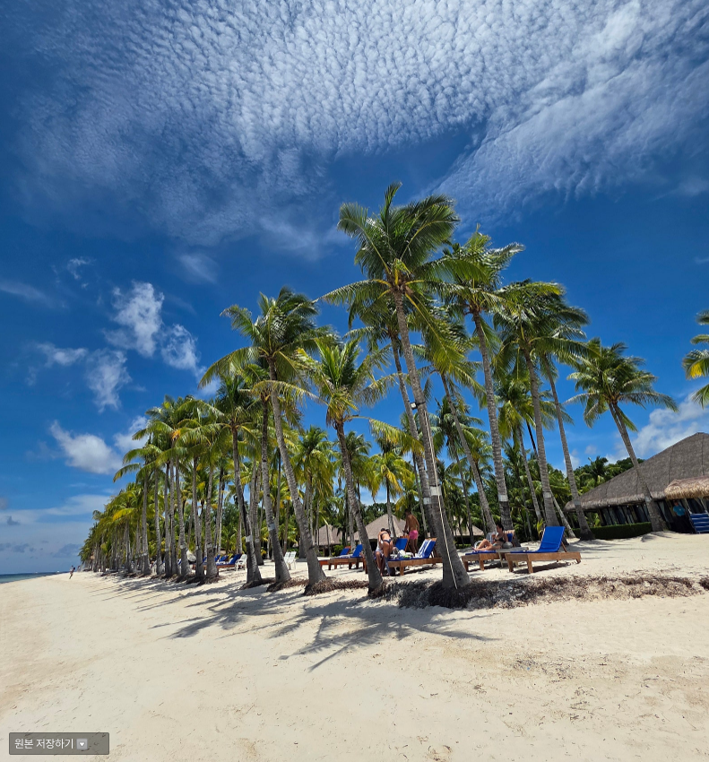 [보홀] 첫가족해외여행은 보홀 보미가이드님과????