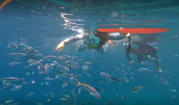 [세부] 호핑 후기