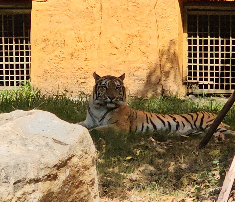[나트랑] "화화님"과 함께한 첫 해외가족여행~
